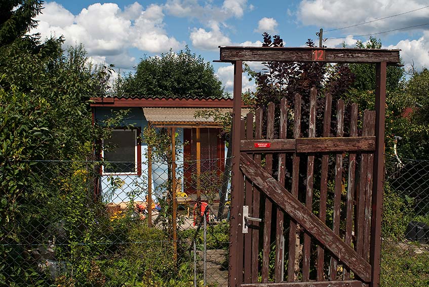 Berliner Schrebergarten 20