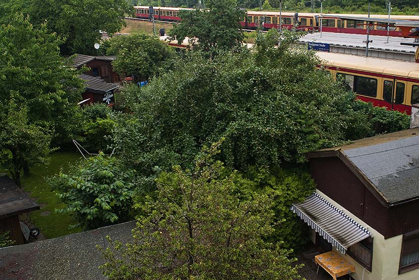 Berliner Schrebergarten 35