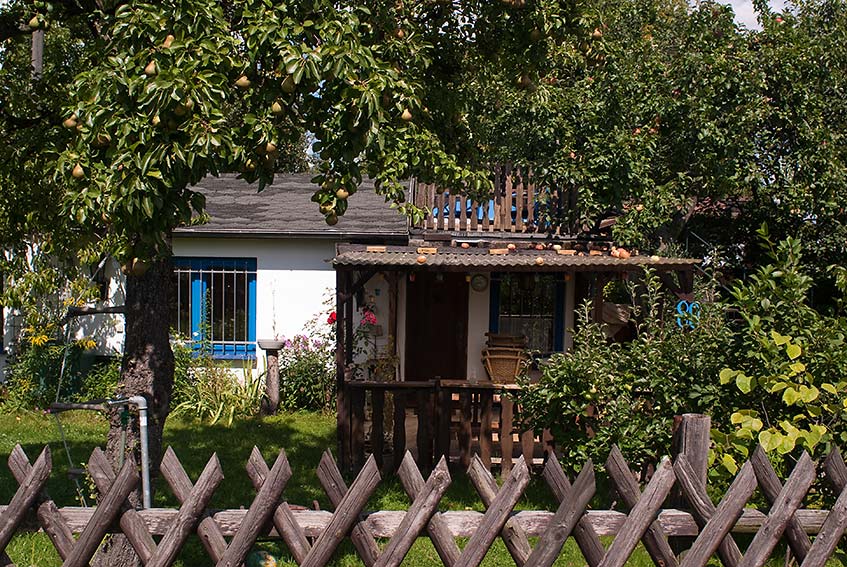 Berliner Schrebergarten 40