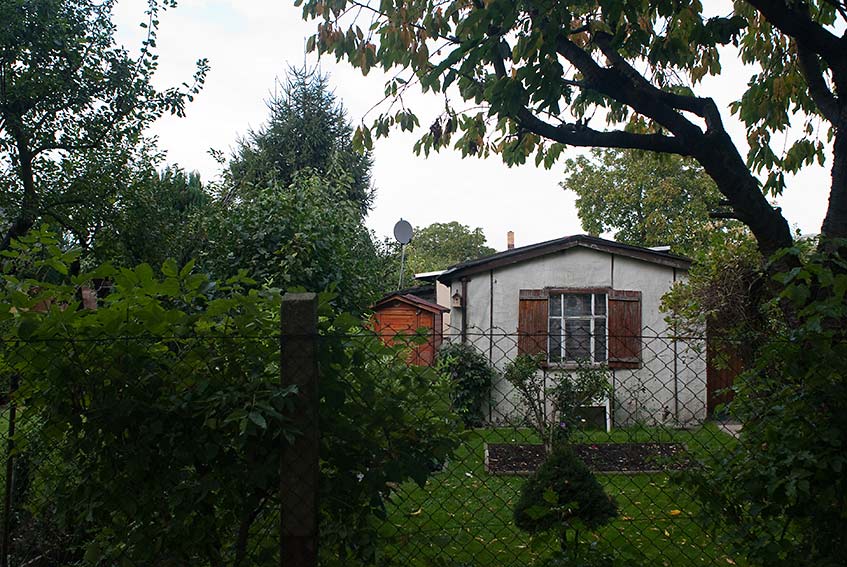 Berliner Schrebergarten 41